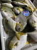 L''今日推荐【海捕大金鲳鱼】招牌家常吃鱼推荐，手慢🈚，新鲜活冻 商品缩略图1