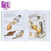 预售 【中商原版】Drawing Nature 进口艺术 绘制自然 Princeton University Press 商品缩略图3