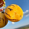 【果蔬精选】云南高山人参果 高山高海拔种植 带绿色认证产品 树上自然熟 水果界的灌汤包 清甜可口 水润爽滑 多汁飘香 营养丰富～ 商品缩略图0