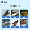 高效氯氰菊酯溶液水产养殖杀虫中华鳋锚头鳋三代虫指环虫青鱼草鱼 商品缩略图3
