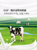 MM 山姆 MILK TALK咖啡牛奶 290ml*8 商品缩略图4