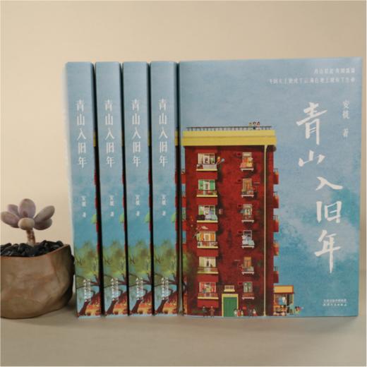 青山入旧年 商品图1