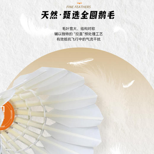 的幸均衡之翼 6 号羽毛球 飞行稳定落点精准训练比赛专用 12 只装 商品图3