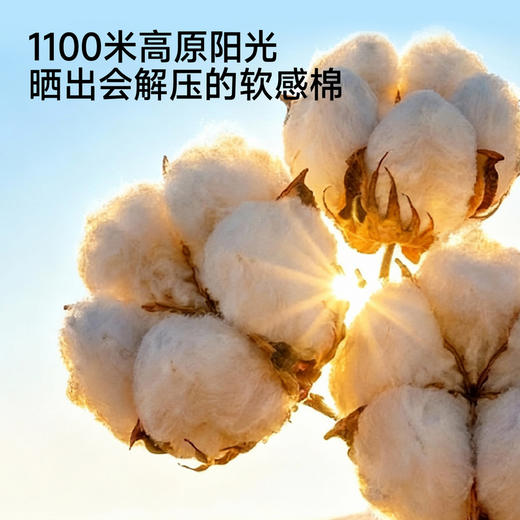 【商场同款】英氏夏季新款婴儿短袖透气哈衣女宝宝刺绣外出连体衣 商品图1