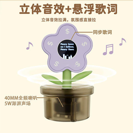 HYUNDAI Ai智能有钱花歌词音箱 YH-F016 商品图6