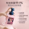蔬果园抑菌洗手液（乌木玫瑰）500ml泡泡洗手液 商品缩略图1