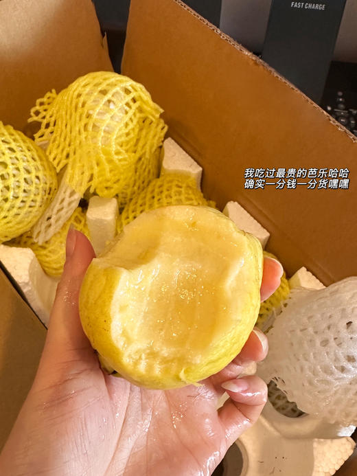 【奶油芭乐】 独特的海边盐碱地种植 肉质饱满多汁 冰淇淋口感释放浓郁甘甜 商品图2