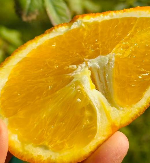 南橙山脐橙礼盒，绿色包装超清新😍果肉饱满、口感清甜，富含维C，适合节日送礼或家庭日常享用~ 商品图2