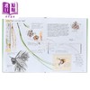 预售 【中商原版】Drawing Nature 进口艺术 绘制自然 Princeton University Press 商品缩略图1