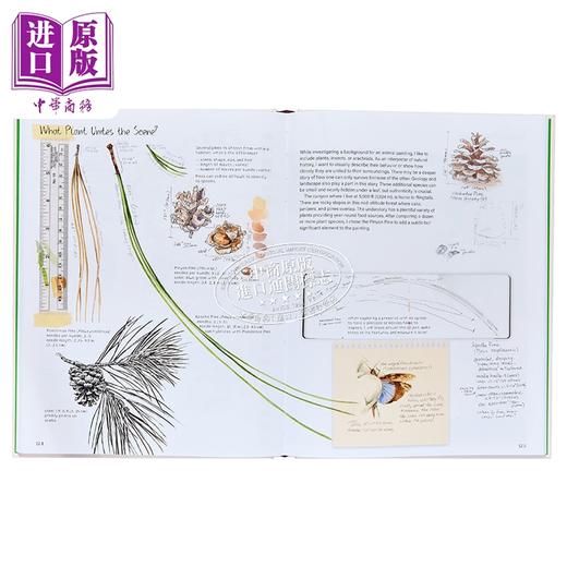 预售 【中商原版】Drawing Nature 进口艺术 绘制自然 Princeton University Press 商品图1