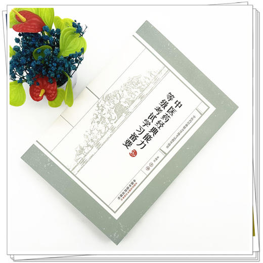 中医药经典能力等级考试学习备要（一二三级）谷晓红 主编（全三级考试指导用书）习题集 内经伤寒论金匮要略温病学四大经典 商品图1