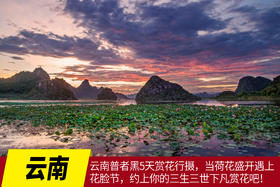 7月17日确定出发云南普者黑5天赏花行摄，当荷花盛开遇上花脸节，约上你的三生三世下凡赏花吧！