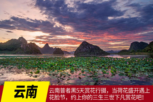 7月17日确定出发云南普者黑5天赏花行摄，当荷花盛开遇上花脸节，约上你的三生三世下凡赏花吧！ 商品图0