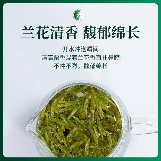 2026年头采西湖龙井 | 这一口鲜，等了整整一年，明杭龙井茶明杭龙井茶 （赠：感温杯） 商品图4