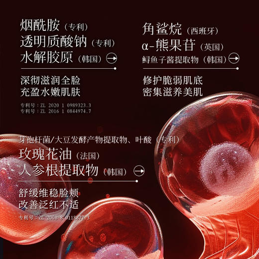 CKEK红御多肽胶原弹嫩紧塑安瓶精华液100ml 商品图2