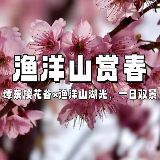 【亲子营】樱花谷×渔洋山1日 | 漫步谭东百亩樱花海，去渔洋山俯瞰太湖 商品图0