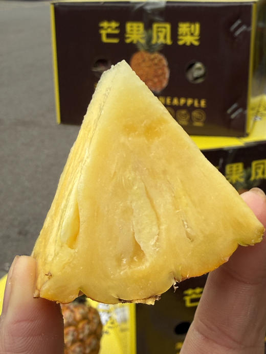 海南树熟芒果凤梨 商品图3