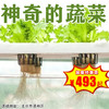 【一日营•3月21日-4月6日】神奇的蔬菜丨 当代黑科技系列体验之“恐怖”的植物工厂，一年可产19茬水培有机蔬菜 ! 商品缩略图0