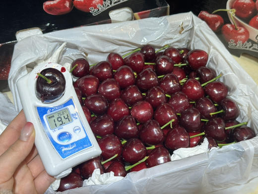 新疆大樱桃（散称118/斤 称重补差） 商品图1