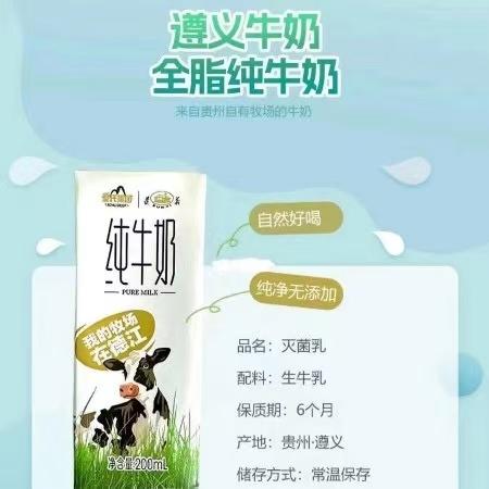 【遵义皇氏牛奶】营养丰富 
 简装牛奶一件装 商品图1