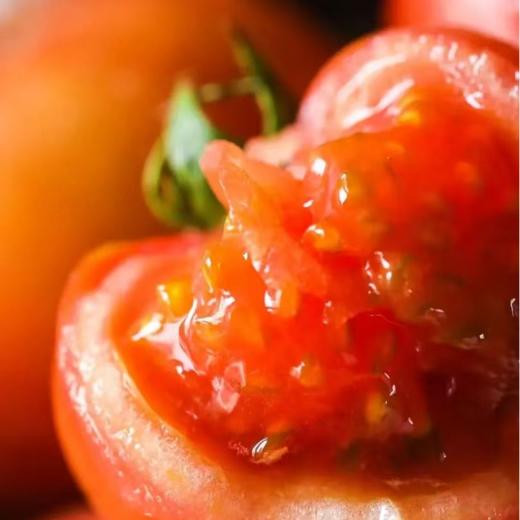 【顺丰发货】红宝石高糖西红柿番茄 口感绝佳！甜度高达9.8以上 自然成熟采摘 鲜嫩多汁 商品图0