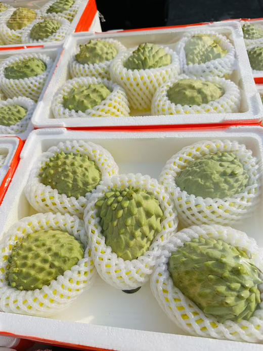 凤梨释迦番荔枝4枚大果 商品图9