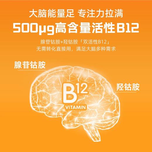 Hevert菲德双活性B12含片180片【德国直邮 下单请提供身份证正反面照片】 商品图4