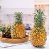 【徐闻菠萝】爽脆可口 商品缩略图5
