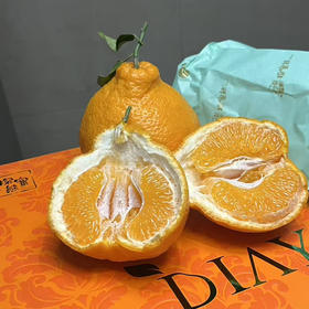 探蜜熊大雅柑S1（约7斤装）