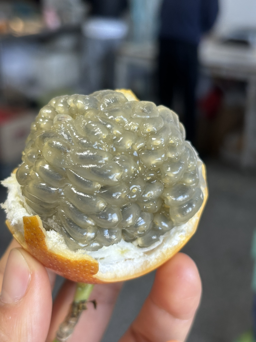 热情果夏威夷引进种植于云南西双版纳，有着独特美妙的口感，纯甜无酸，清新自然，充满着热情！