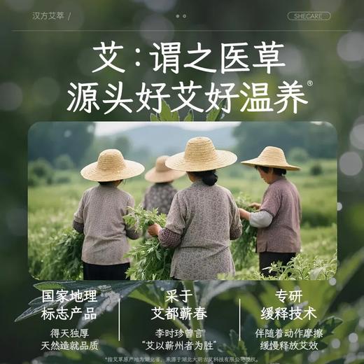 【36片‼️领券到手价48元】舒莱 医护级暖宫净味艾草卫生巾日夜组合超薄透气姨妈巾 商品图3