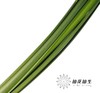 叶材 | 东亚兰叶 商品缩略图1