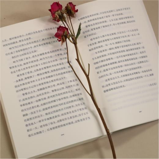 青山入旧年 商品图3