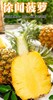 【徐闻菠萝】爽脆可口 商品缩略图3