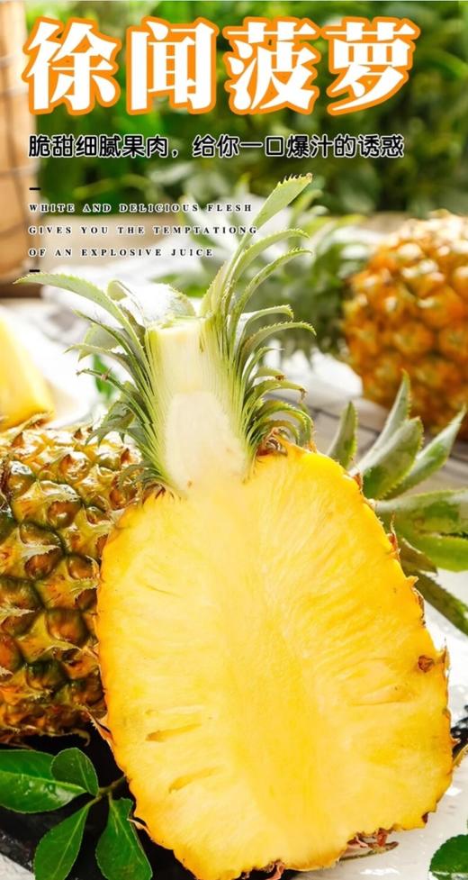 【徐闻菠萝】爽脆可口 商品图3