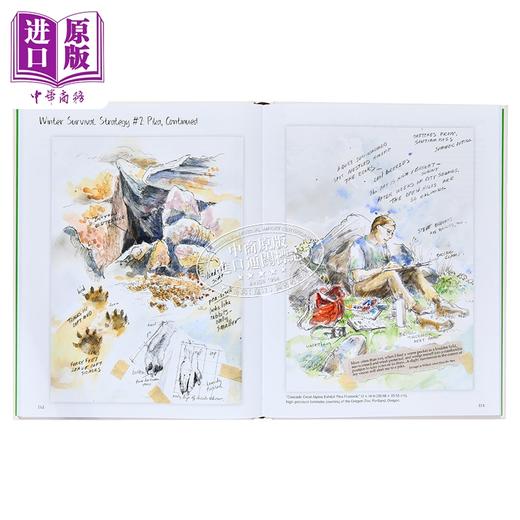 预售 【中商原版】Drawing Nature 进口艺术 绘制自然 Princeton University Press 商品图4