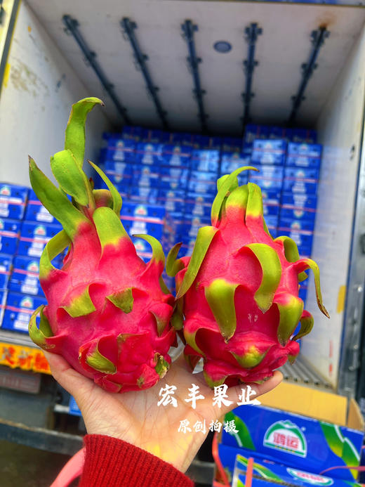 宏丰精选 越南红心火龙果  口感很好， 商品图8