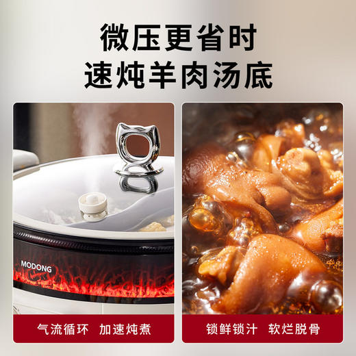 摩动欢聚多功能火焰电火锅家用网红鸳鸯锅一体式多功能大容量火锅 商品图2