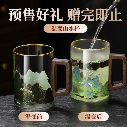 2026年头采西湖龙井 | 这一口鲜，等了整整一年，明杭龙井茶明杭龙井茶 （赠：感温杯） 商品图6