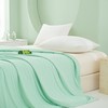 【品牌直发】加倍生活  夏季新款凉感丝夏被-薄荷系列  全新升级双面可用空调被 亲肤柔软夏凉被 商品缩略图1