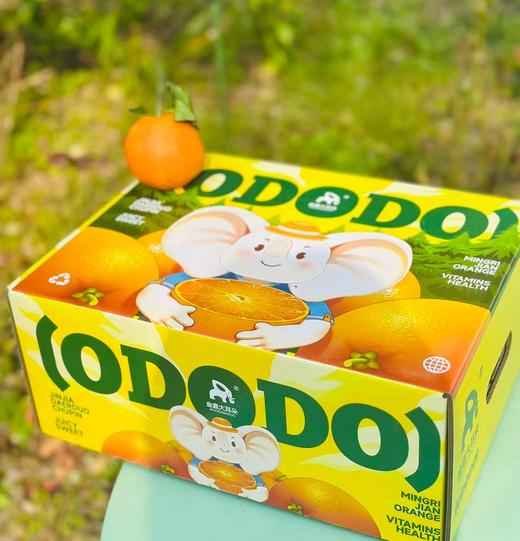 明日见柑橘| 果皮薄，果肉软嫩💦汁水足，好吃不上火抓住柑橘🍊的小尾巴，再不吃就结束了，这款绝对吃了上瘾~ 商品图5