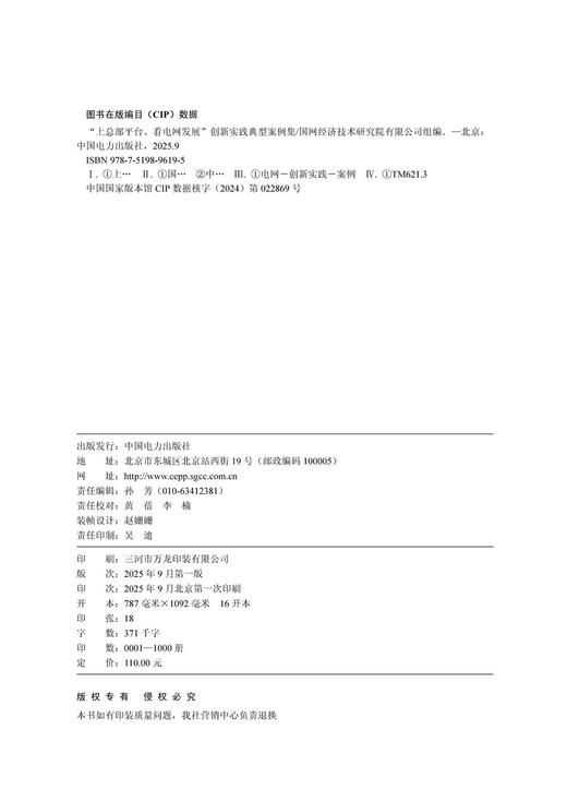 “上总部统推平台、看电网科学发展”创新实践典型案例集 商品图3