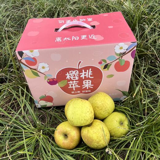 云南高原瑞雪苹果3斤小礼盒 有果斑但脆甜好吃 商品图4