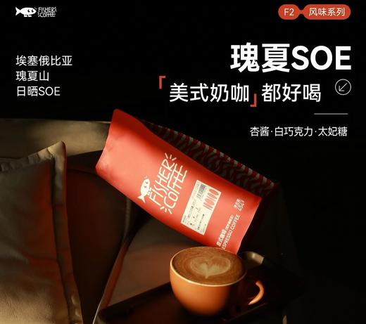 Fisher啡舍 埃塞瑰夏山日晒SOE意式咖啡 （454g） 商品图0
