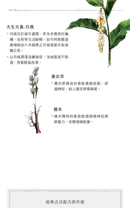 【订单实付低于299元，不发货】阿原  薰衣草洗发露250ml（PCR版）  9902010807-有效期至202705 商品图2