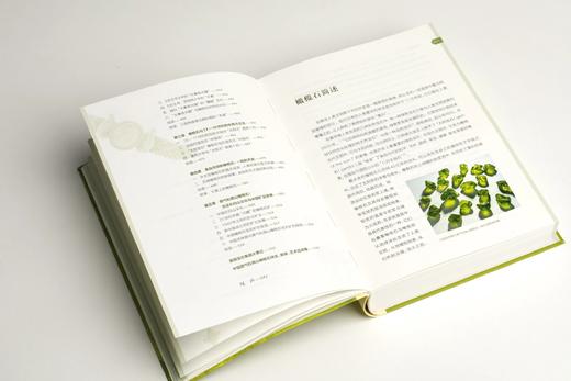 《从古埃及到中国：橄榄石里的世界史》 商品图4