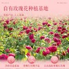 潘祥记官方旗舰店[240g玫瑰酱] 商品缩略图3