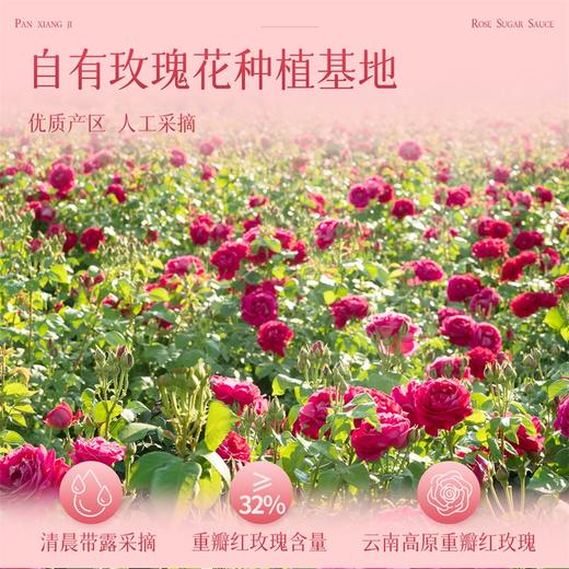 潘祥记官方旗舰店[240g玫瑰酱] 商品图3