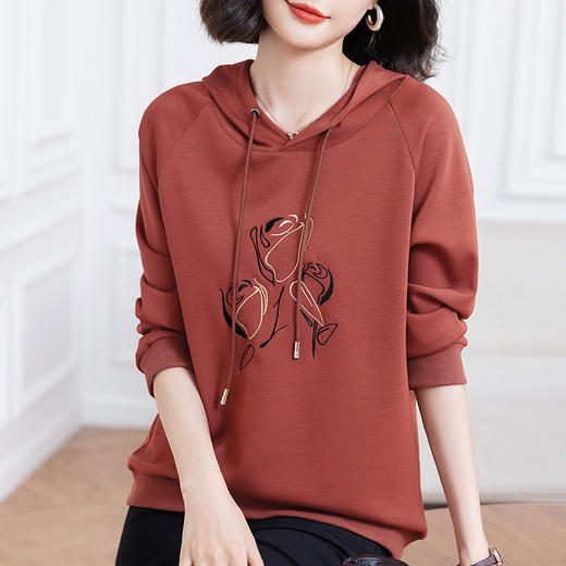 大码卫衣女春秋薄款2026年新款爆款胖mm女装中年妈妈女士连帽上衣 商品图1