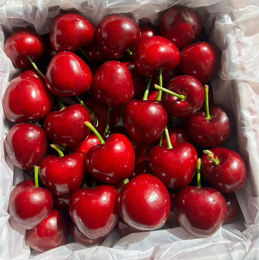〔上海直发包邮06〕大连樱桃 商品图0